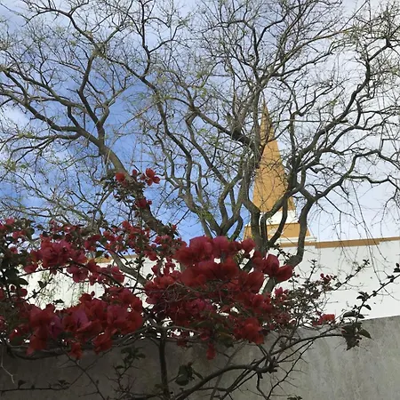 Acolhedor No Centro Da Cidade, Com Patio Privado. * Angra do Heroísmo