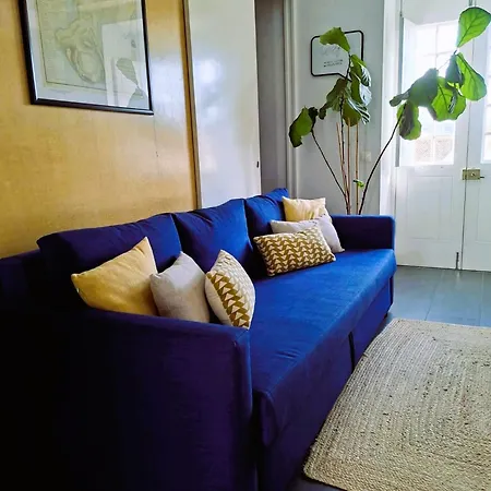 Acolhedor No Centro Da Cidade, Com Patio Privado. *