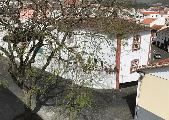 Appartement Acolhedor No Centro Da Cidade, Com Patio Privado. *