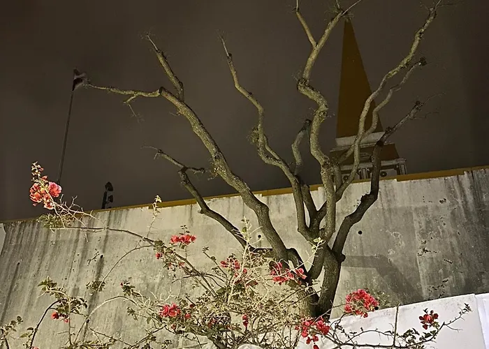 Acolhedor No Centro Da Cidade, Com Patio Privado. Appartement