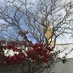 Acolhedor No Centro Da Cidade, Com Patio Privado. * Angra do Heroísmo