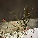 Acolhedor No Centro Da Cidade, Com Patio Privado. דירה