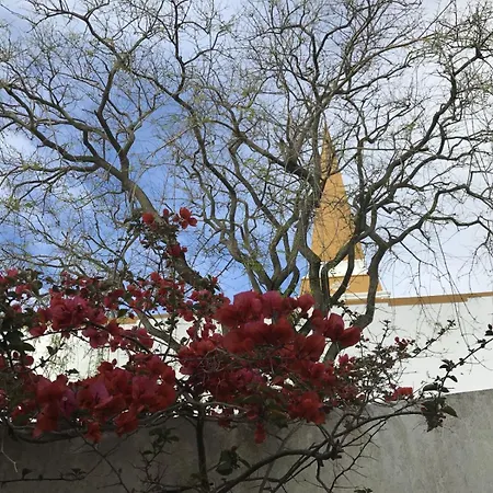 Acolhedor No Centro Da Cidade, Com Patio Privado. * أنغرا دو إِراويزو