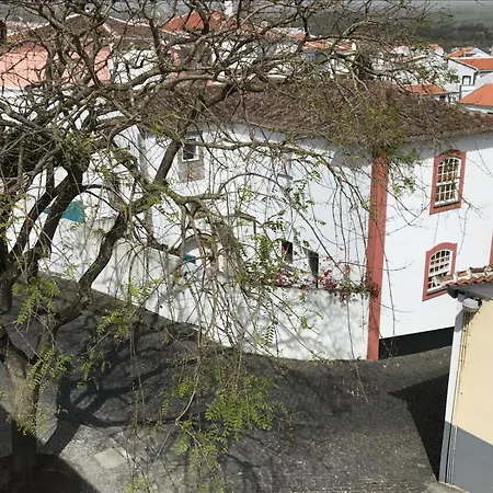 דירה Acolhedor No Centro Da Cidade, Com Patio Privado. *