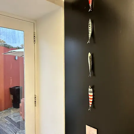 Acolhedor No Centro Da Cidade, Com Patio Privado. شقة *