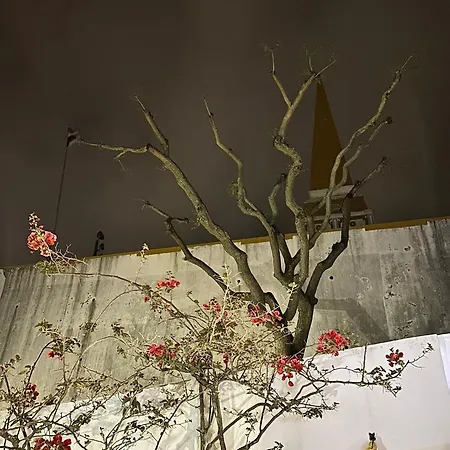 Acolhedor No Centro Da Cidade, Com Patio Privado. 公寓