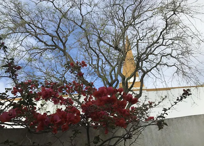 Acolhedor No Centro Da Cidade, Com Patio Privado. * Angra do Heroismo